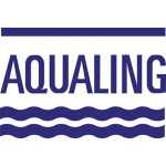 Aqualing Bestway konténer